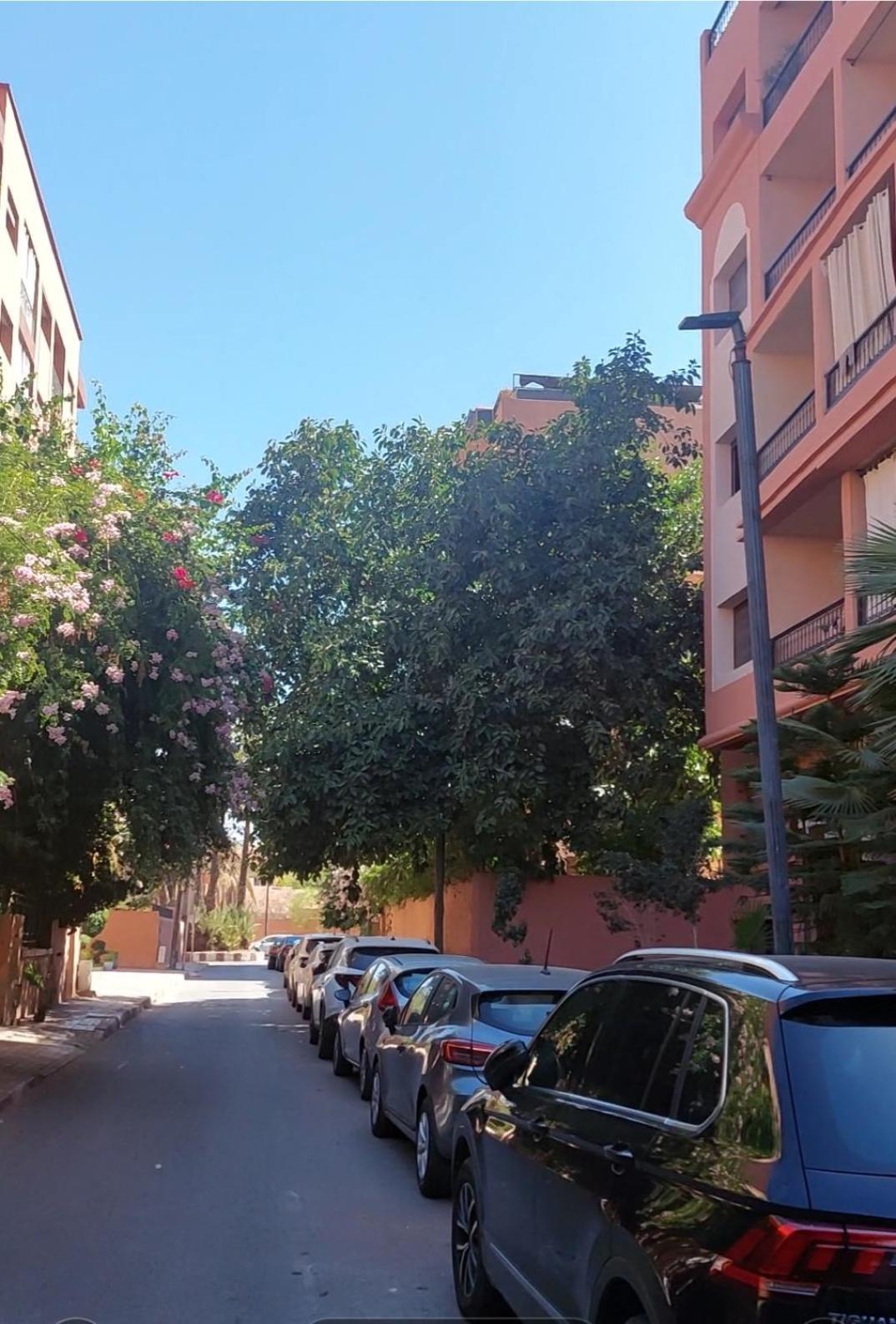 Marrakesh Home المظهر الخارجي الصورة
